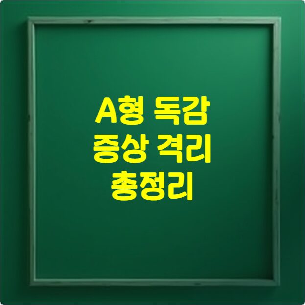 A형 독감 증상 및 격리 총정리